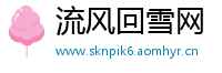流风回雪网